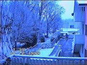 Inverno 1998-99